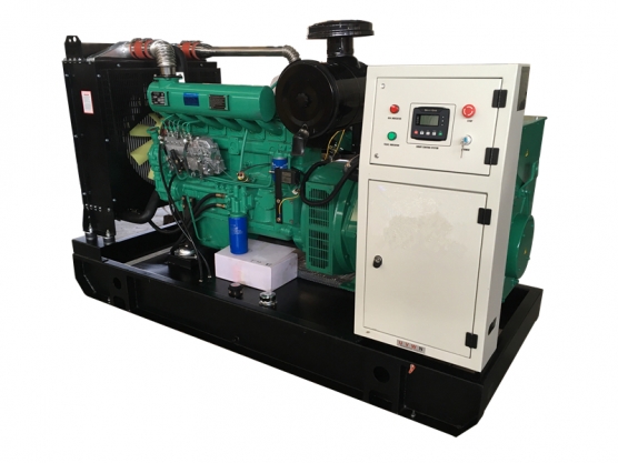 12kw-300kw Ricardo Motor Jeneratörü 