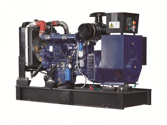 12kw-300kw Ricardo Motor Jeneratörü 
